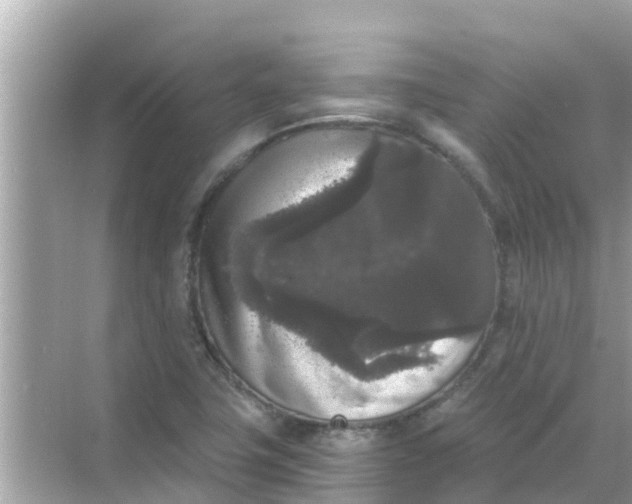 X0000068301411200605051921