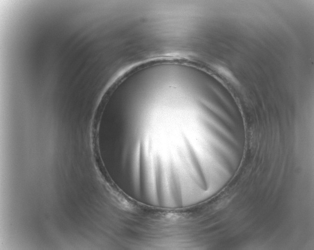 X0000068301412200605051921