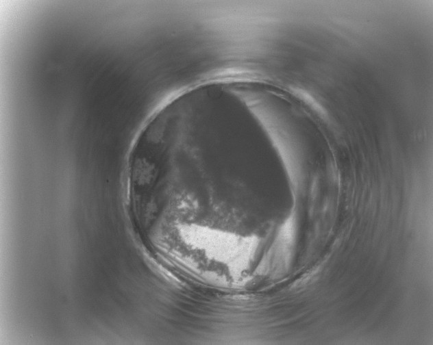 X0000068301413200605051921