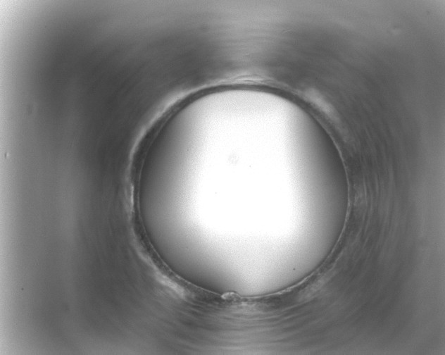 X0000068301414200605051921