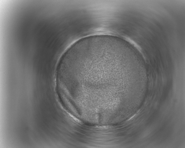 X0000068301415200605051921