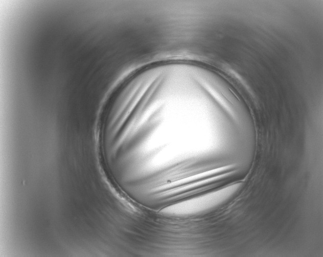 X0000068301416200605051921