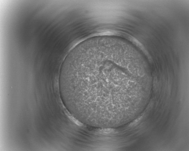 X0000068301417200605051921