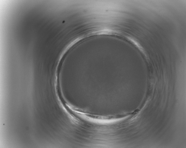 X0000068301418200605051921