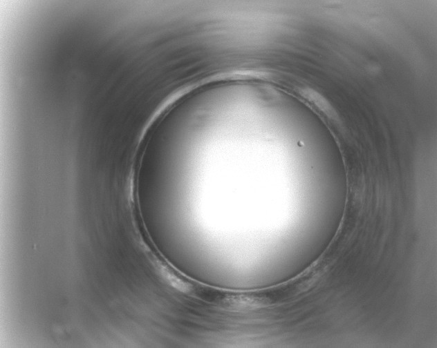 X0000068301420200605051921