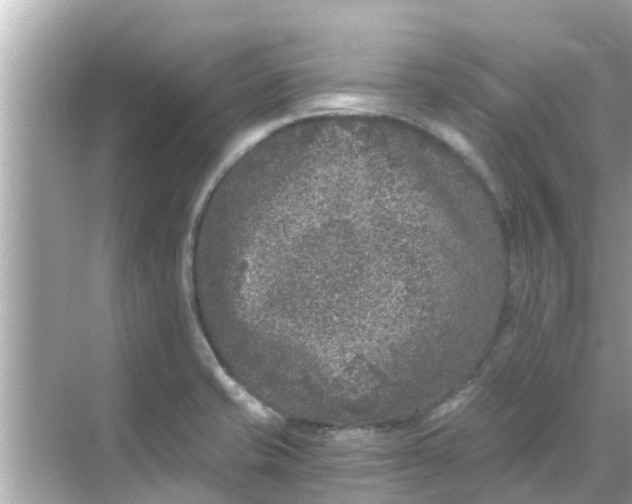 X0000068301421200605051921