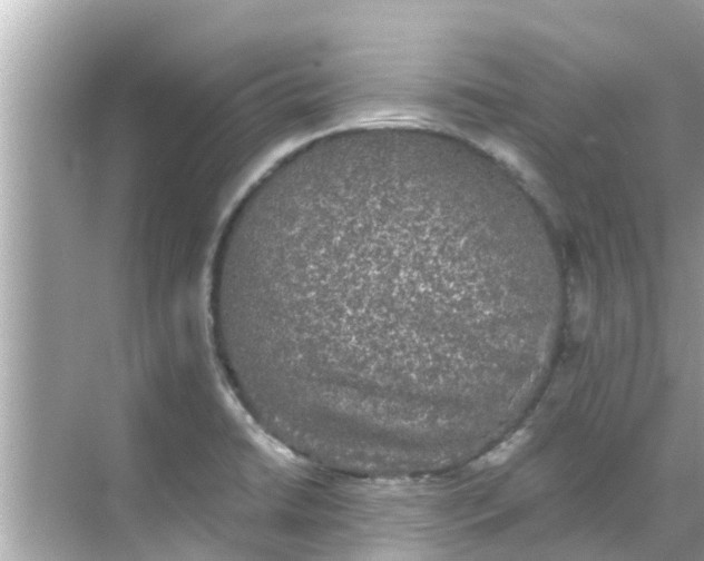 X0000068301422200605051921