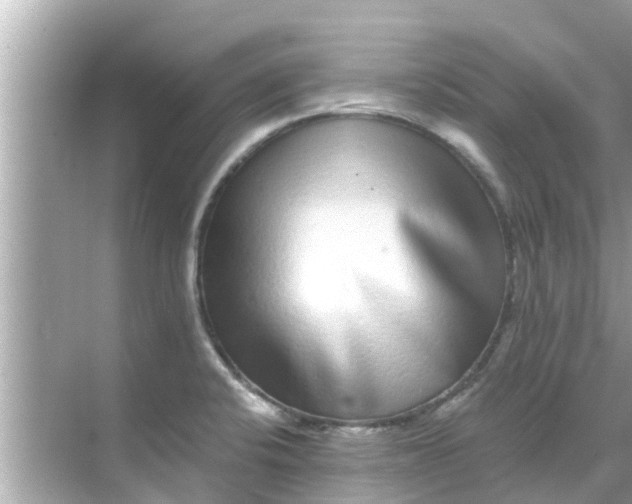 X0000068301424200605051921