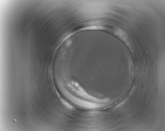 X0000068301425200605051921