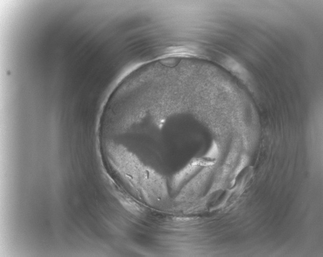 X0000068301427200605051921