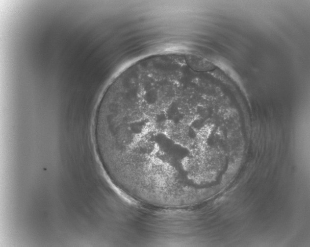 X0000068301429200605051921