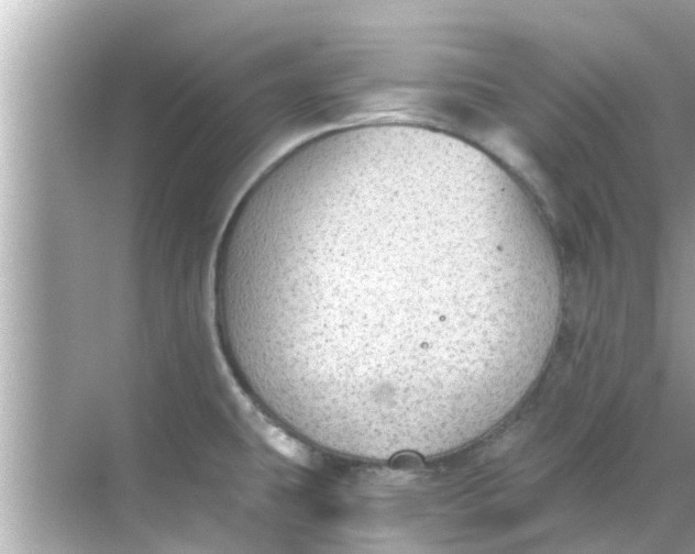 X0000068301431200605051921