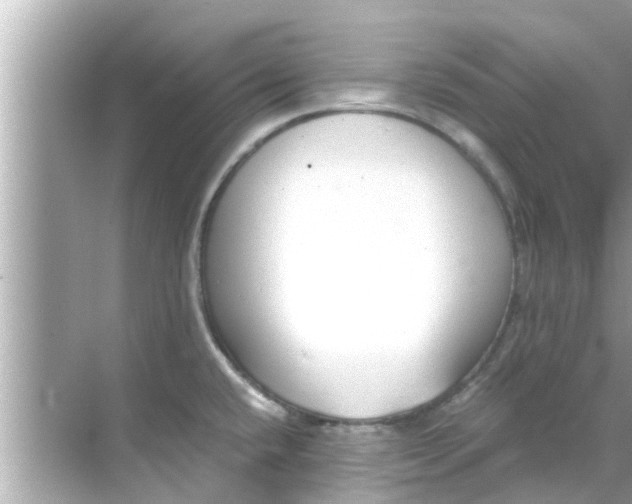 X0000068301432200605051922