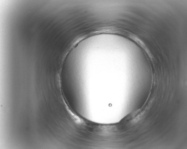 X0000068301433200605051922