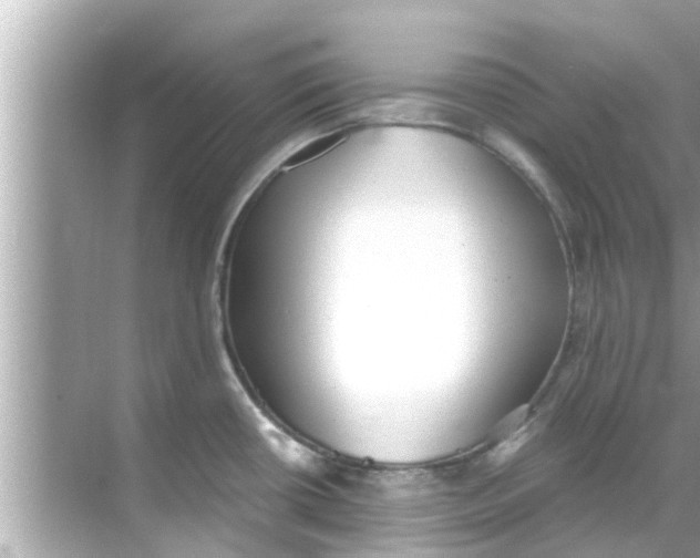 X0000068301434200605051922