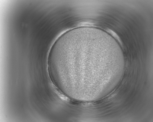 X0000068301435200605051922