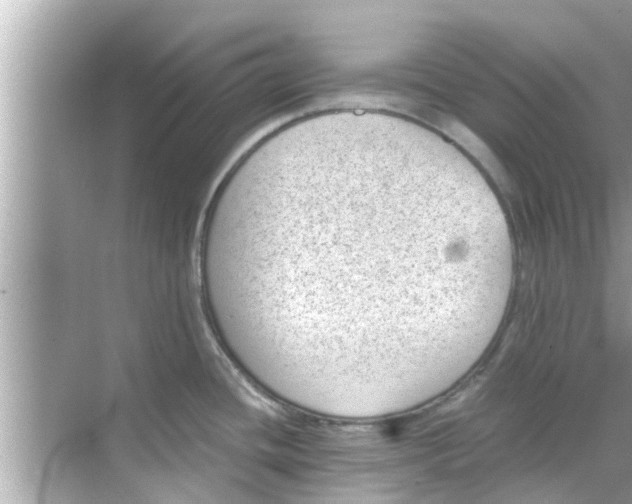 X0000068301436200605051922