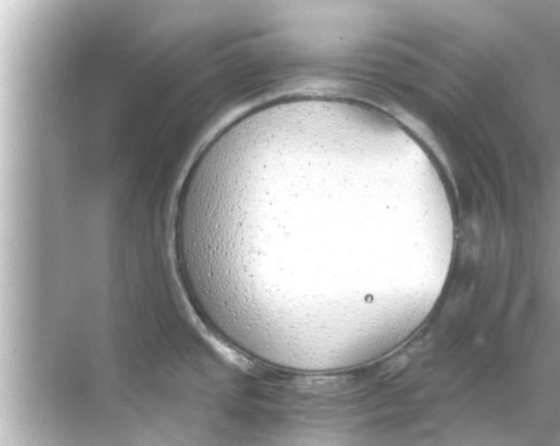 X0000068301437200605051922