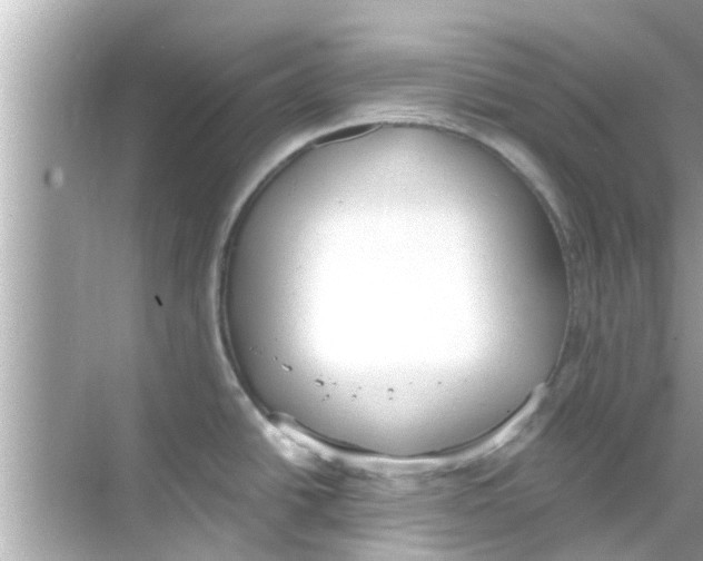 X0000068301438200605051922