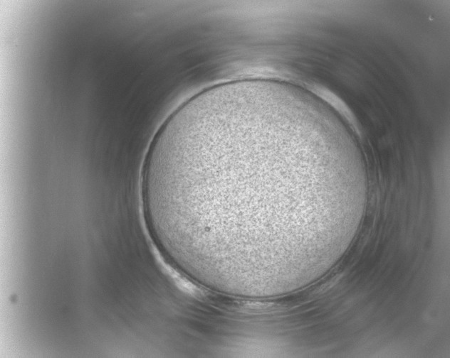 X0000068301439200605051922