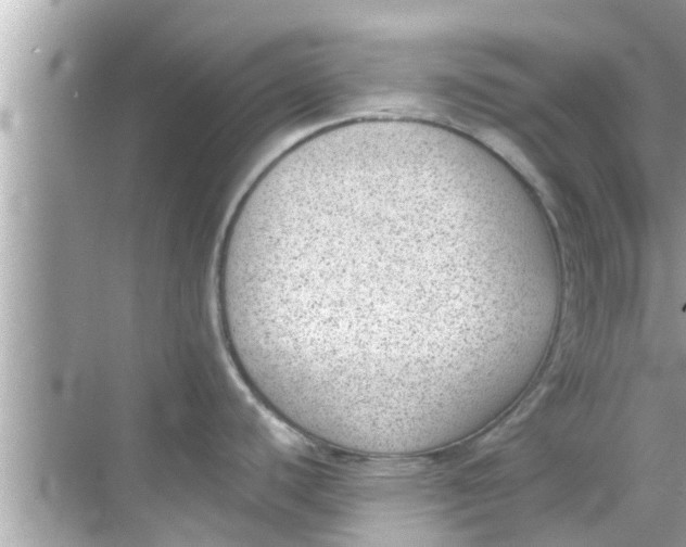 X0000068301440200605051922