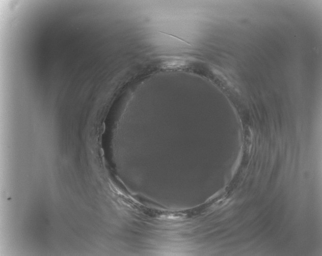 X0000068301441200605051921