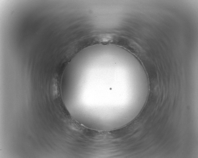 X0000068301442200605051921