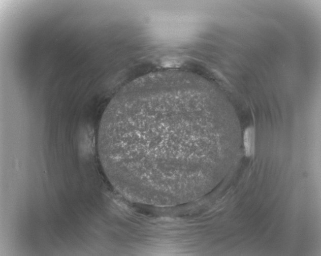 X0000068301443200605051921