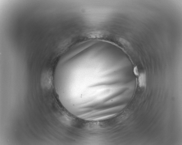 X0000068301444200605051921