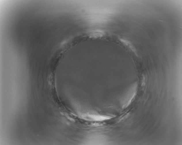 X0000068301445200605051921