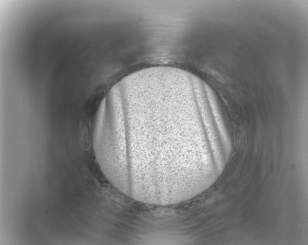 X0000068301446200605051921