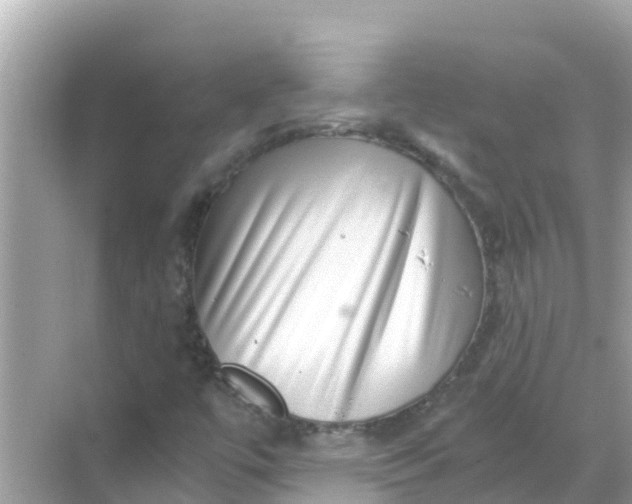 X0000068301447200605051921