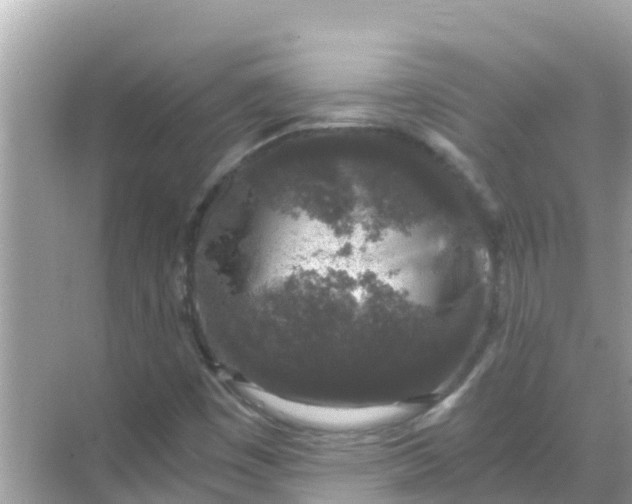 X0000068301449200605051921