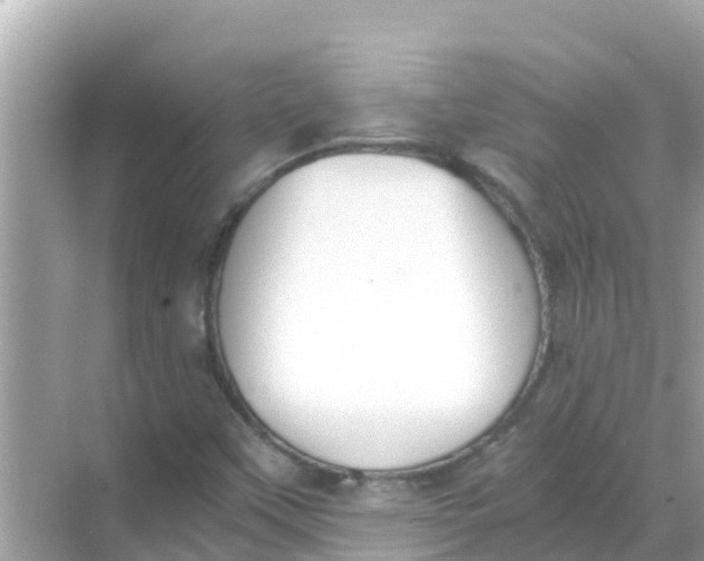 X0000068301451200605051921