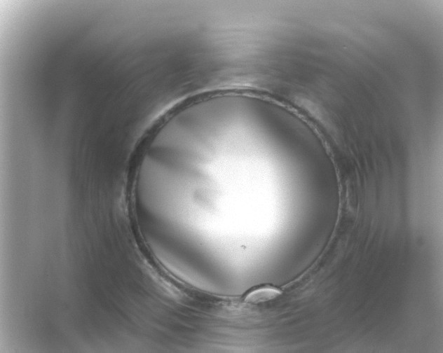 X0000068301452200605051921