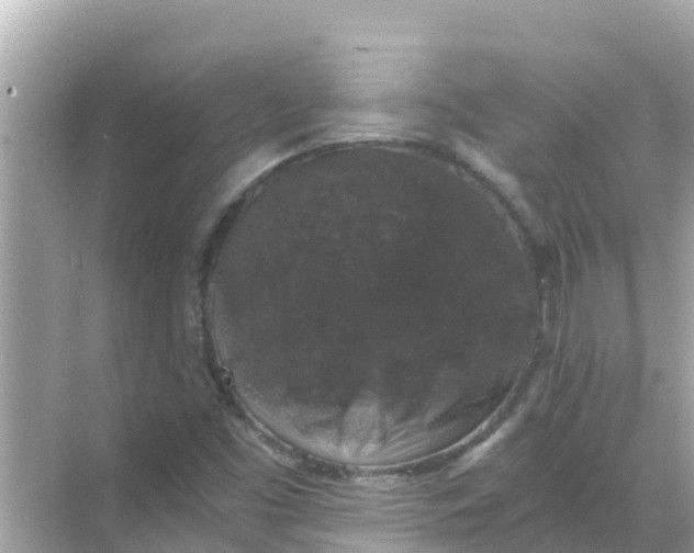 X0000068301453200605051921