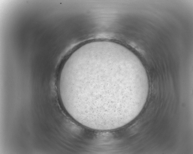 X0000068301454200605051921