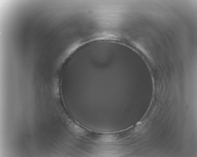 X0000068301455200605051921