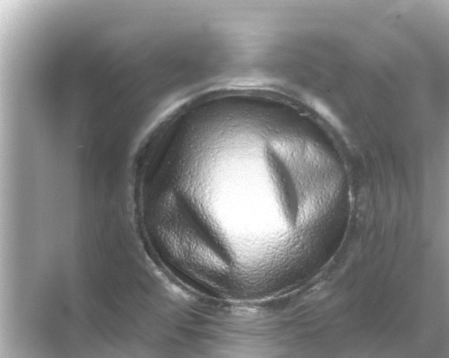 X0000068301456200605051921