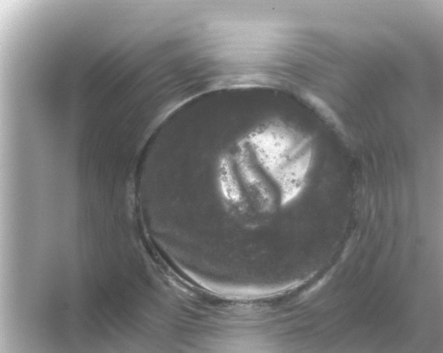 X0000068301457200605051921