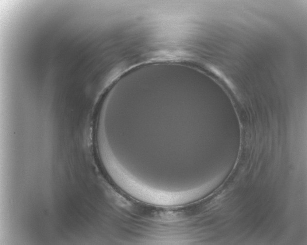 X0000068301459200605051921