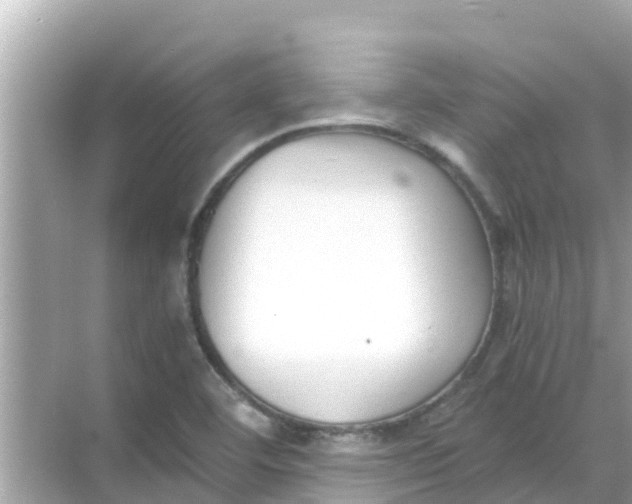 X0000068301460200605051921