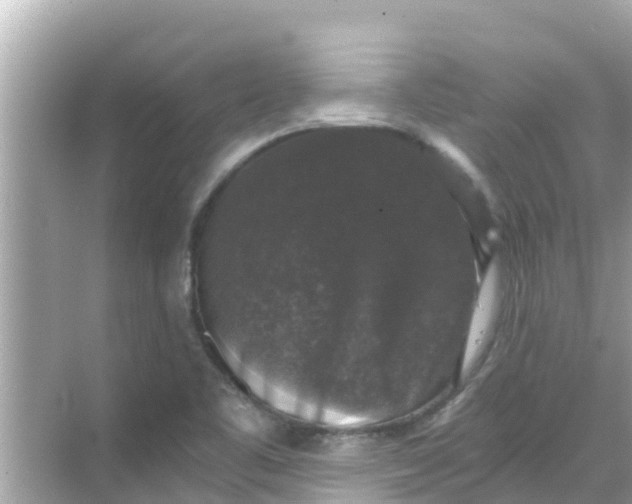 X0000068301461200605051921