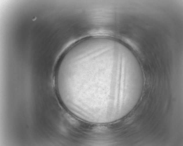 X0000068301462200605051920