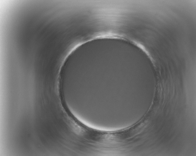 X0000068301463200605051920