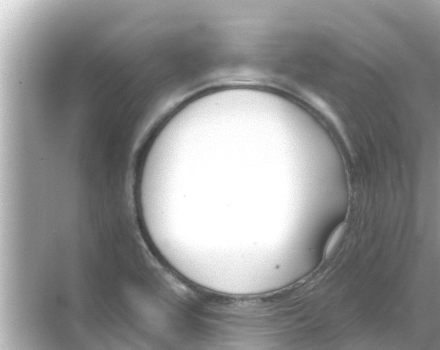 X0000068301464200605051920