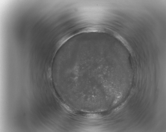 X0000068301465200605051920