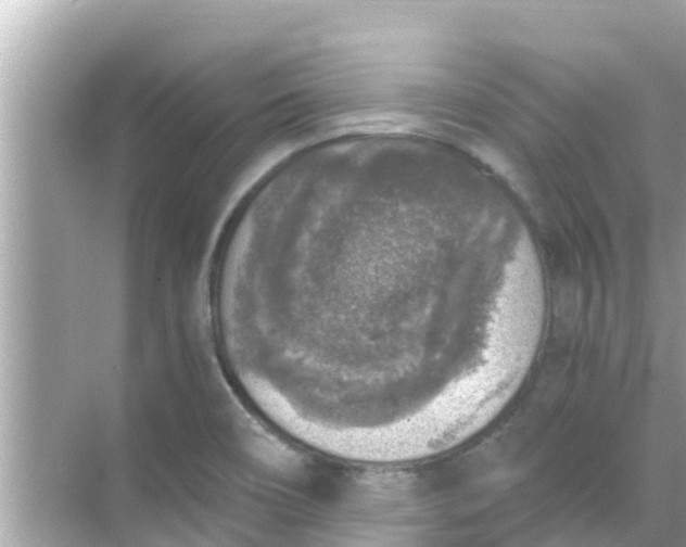 X0000068301466200605051920