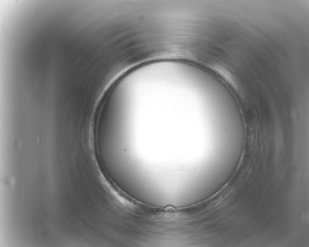 X0000068301468200605051920