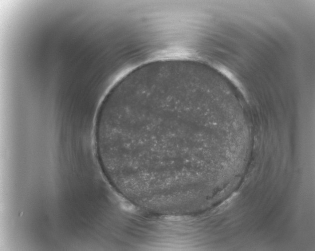 X0000068301469200605051920